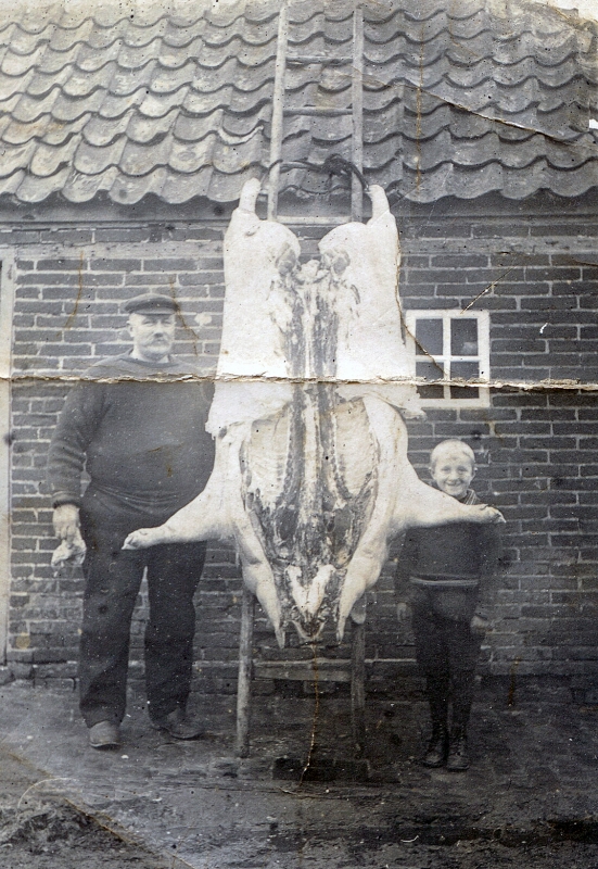 f9786