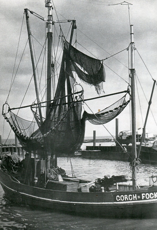 Hist49