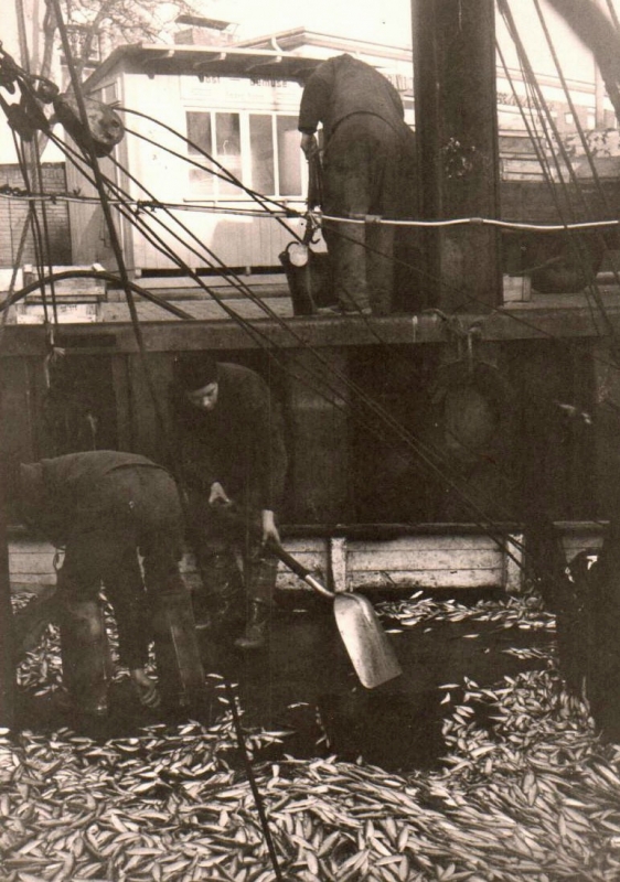 k1641