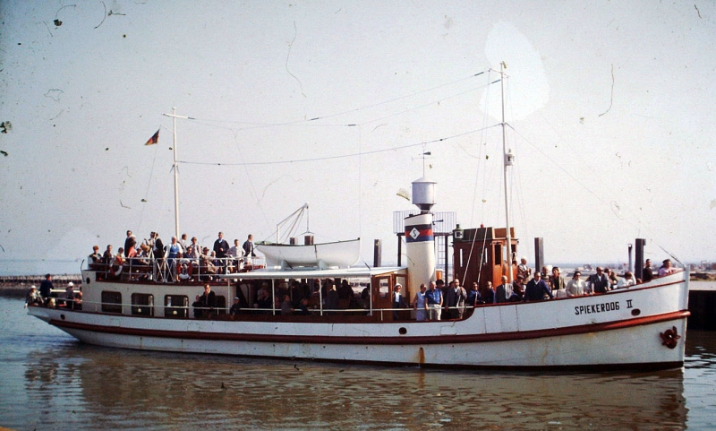 f8919