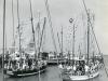 Hist50